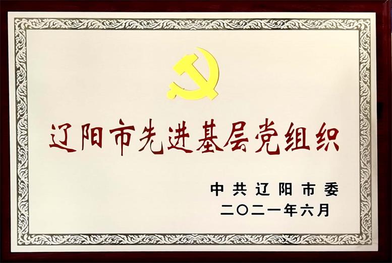 K8凯发集团集团荣获“辽阳市先进下层党组织”称呼